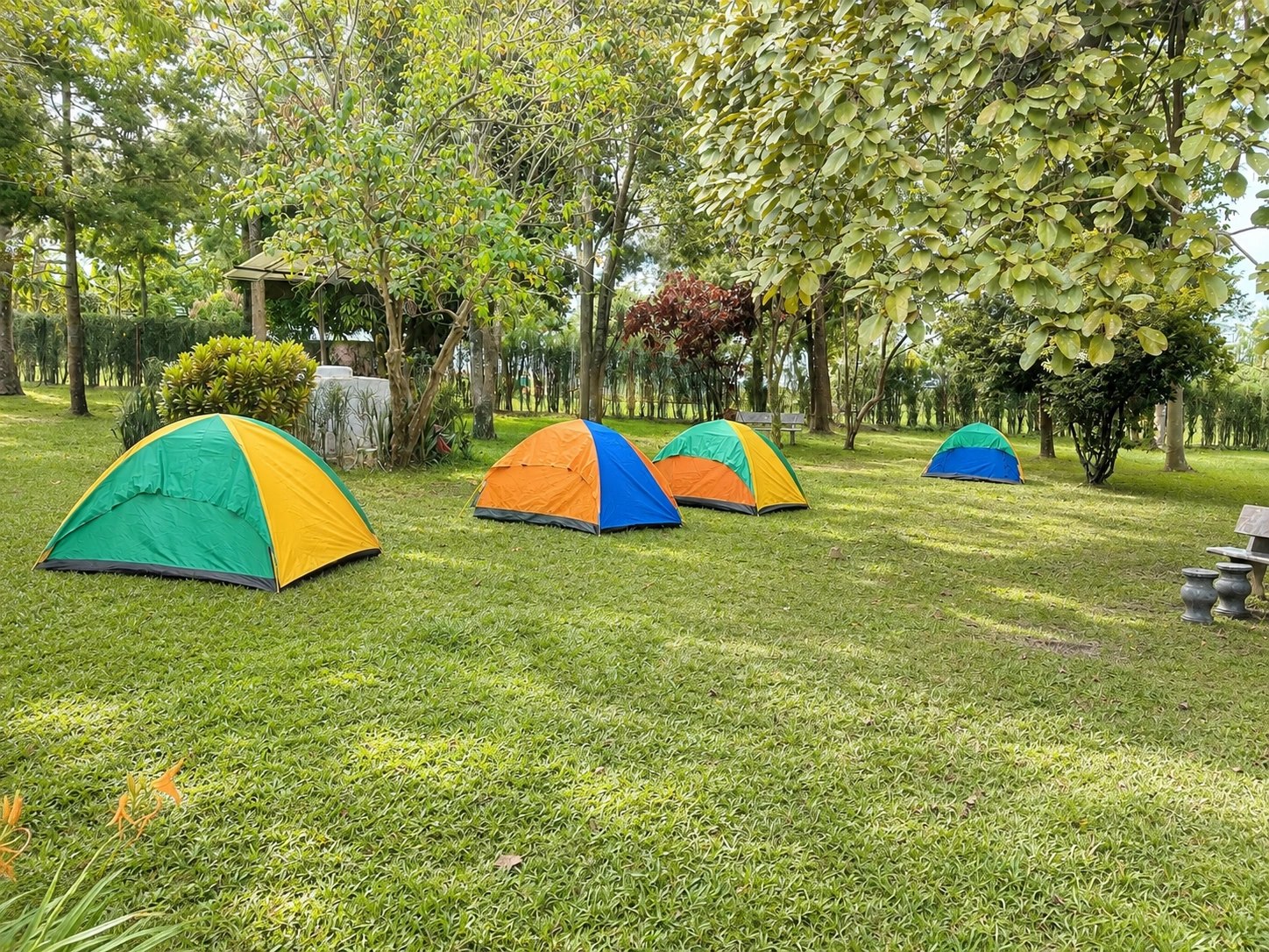 Group camping clearing among the trees near Kibale Forest